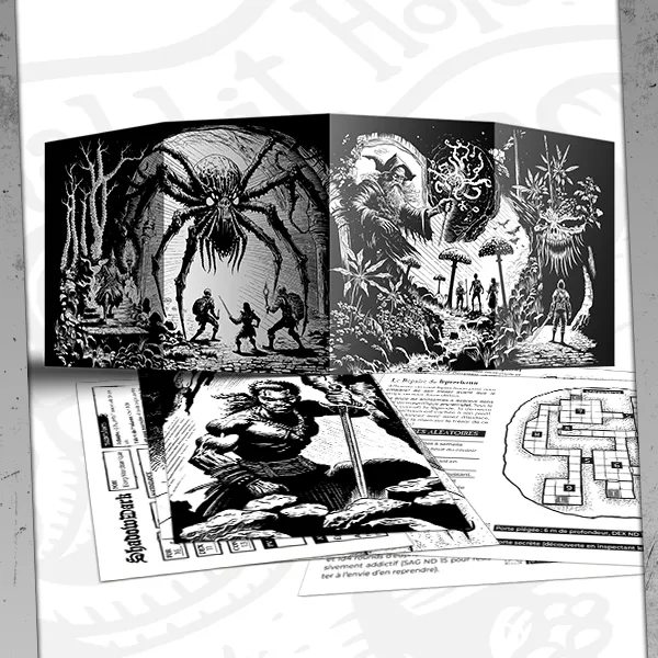 Shadowdark RH Ecran de jeu