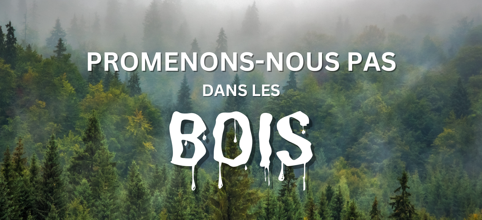 Promenons-nous pas dans les bois